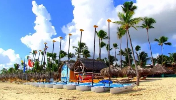 多米尼加海关数据查询平台（附免费试用查询名额）